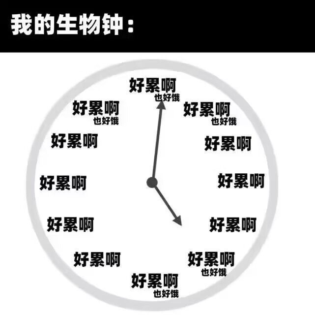 简单图床 - easyimage