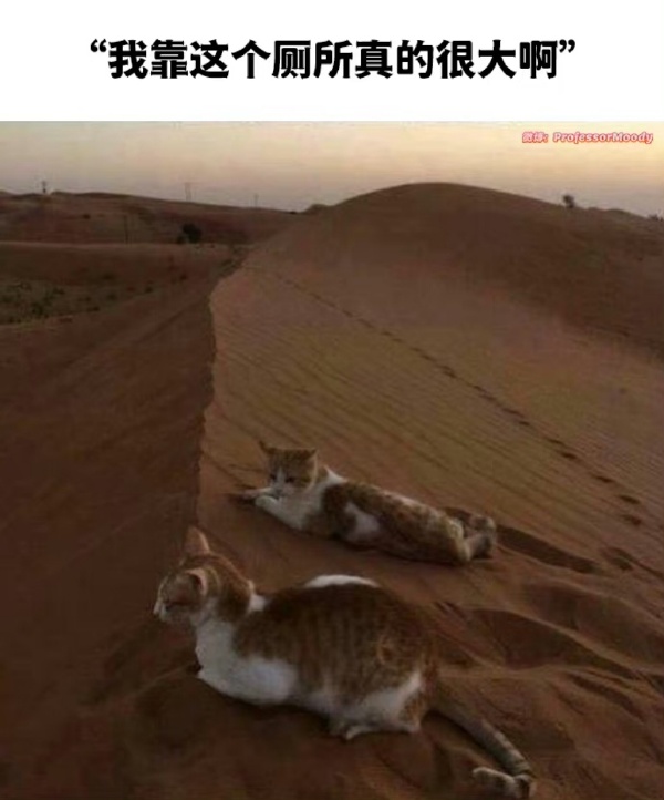 简单图床 - easyimage