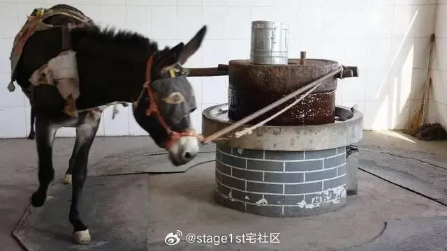简单图床 - easyimage